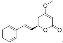 高品质天然卡瓦提取物 植物提取物领域的纯净之选