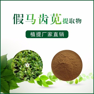 假马齿苋提取物 探索自然香料中的绿色宝藏