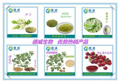 番泻叶提取物 功效、市场价格与西安产业概况