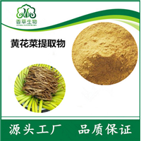 宁夏基地黄花菜 实力厂家精粹天然香料与纯粉