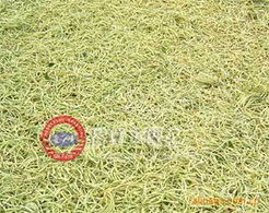 山东鲁峰金银花植物提取物产品系列概览