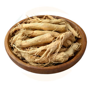 探寻全球领先的天然植物人参提取物粉供应商与天然香料解决方案