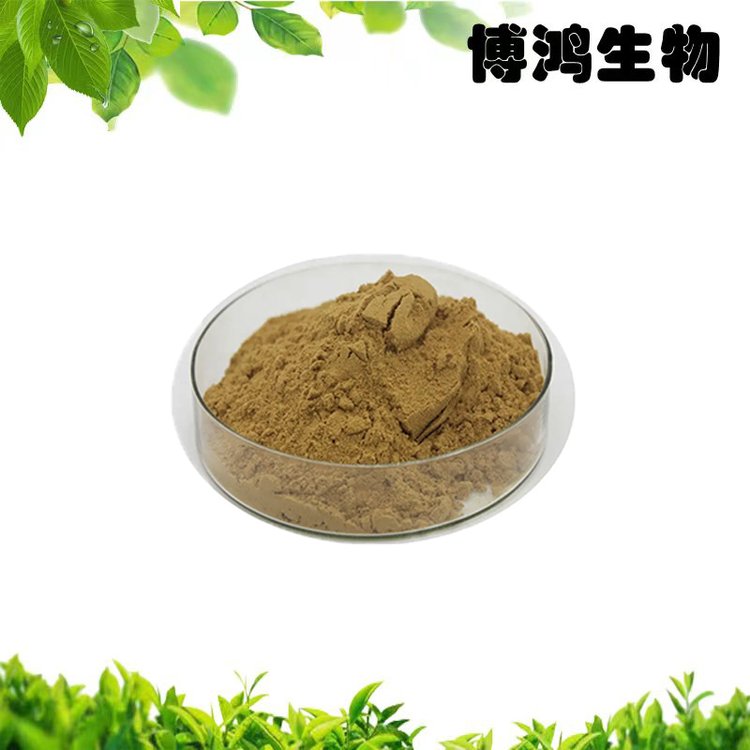 云芝提取物10:1 云芝粉 植物提取物 可免费样品 博鸿生物