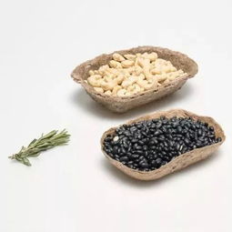 绿色革命新浪潮 那些让你大开眼界的植物提取环保黑科技