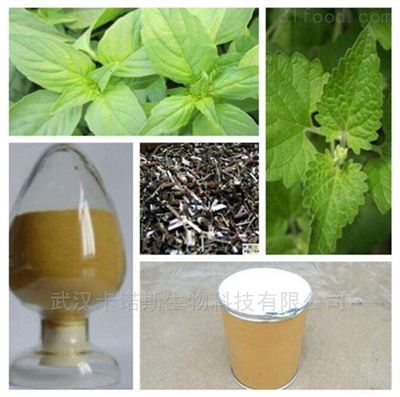 植物提取物 自然精华的多维应用与未来前景